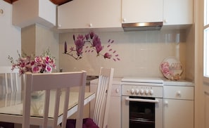 Fridge, oven, stovetop, dishwasher