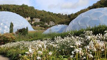 A greenhouse with transparent dome structures amidst a garden with white flowers.