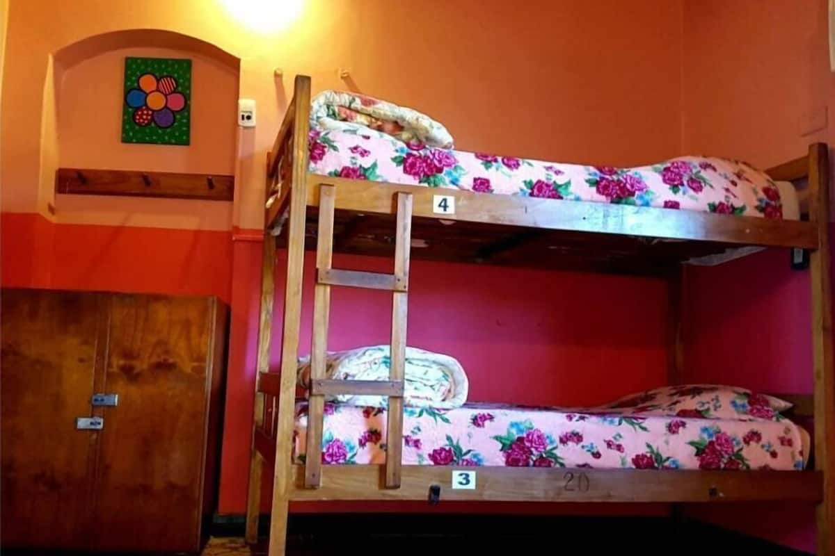 Shared Dormitory, Women only | Down comforters, free WiFi, bed sheets