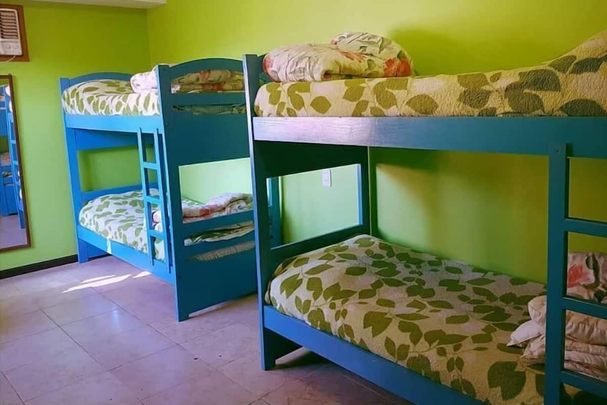 Standard Shared Dormitory, Mixed Dorm | Down comforters, free WiFi, bed sheets