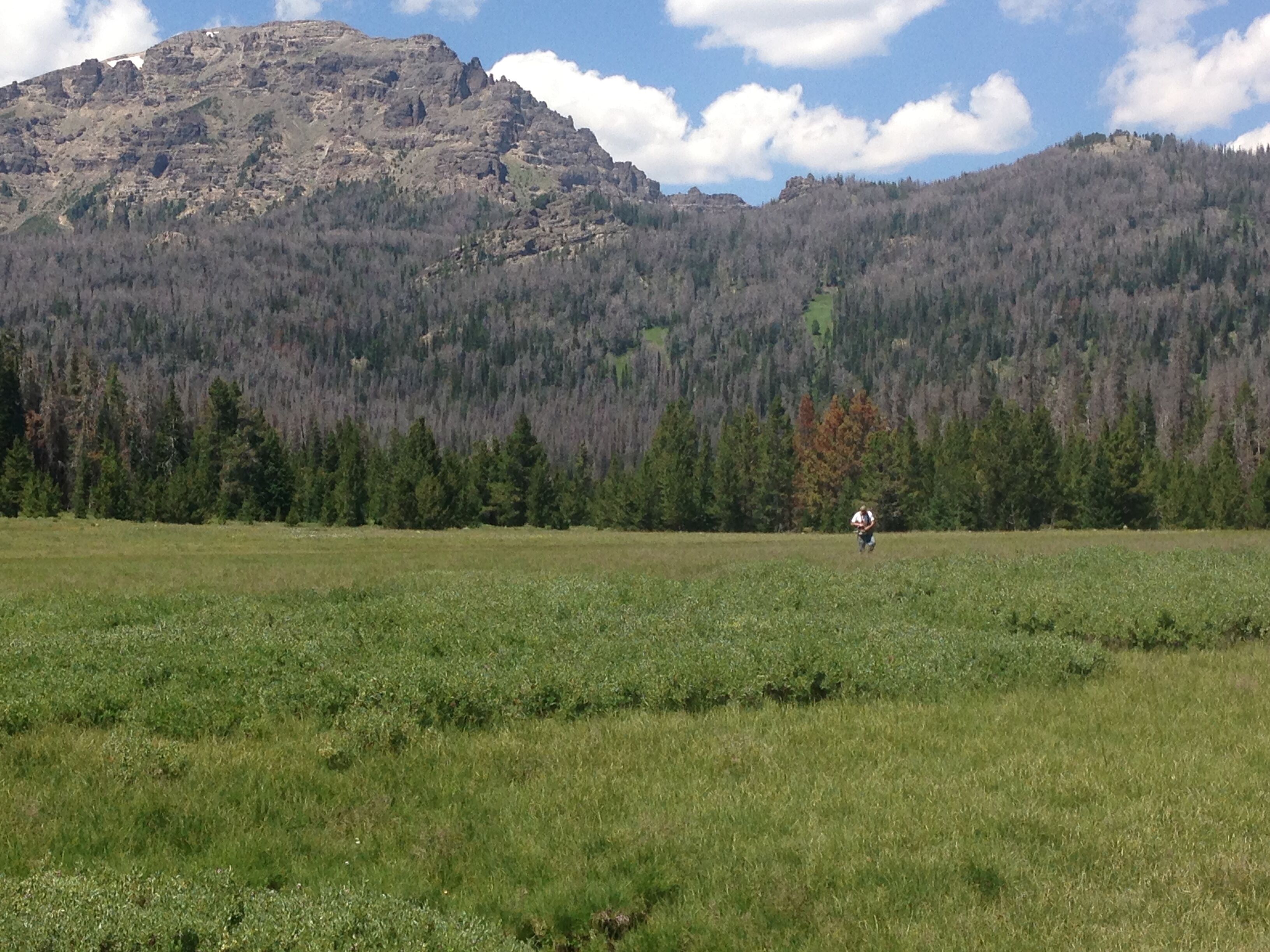 A wide, open field with a mountain in the background.
