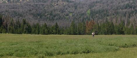 A wide, open field with a mountain in the background.