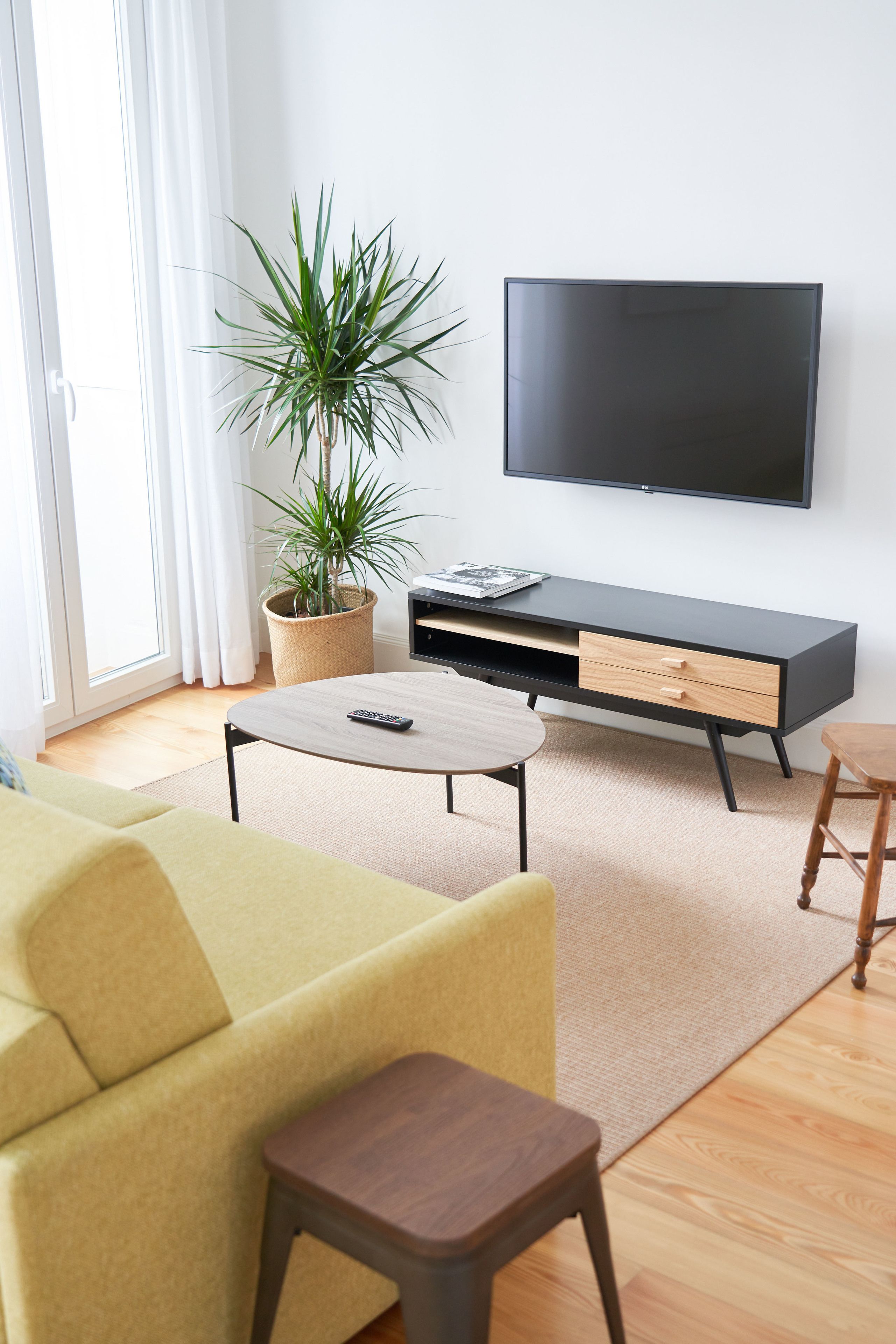 Un salon moderne avec un canapé, une table basse, un téléviseur et une plante en pot.