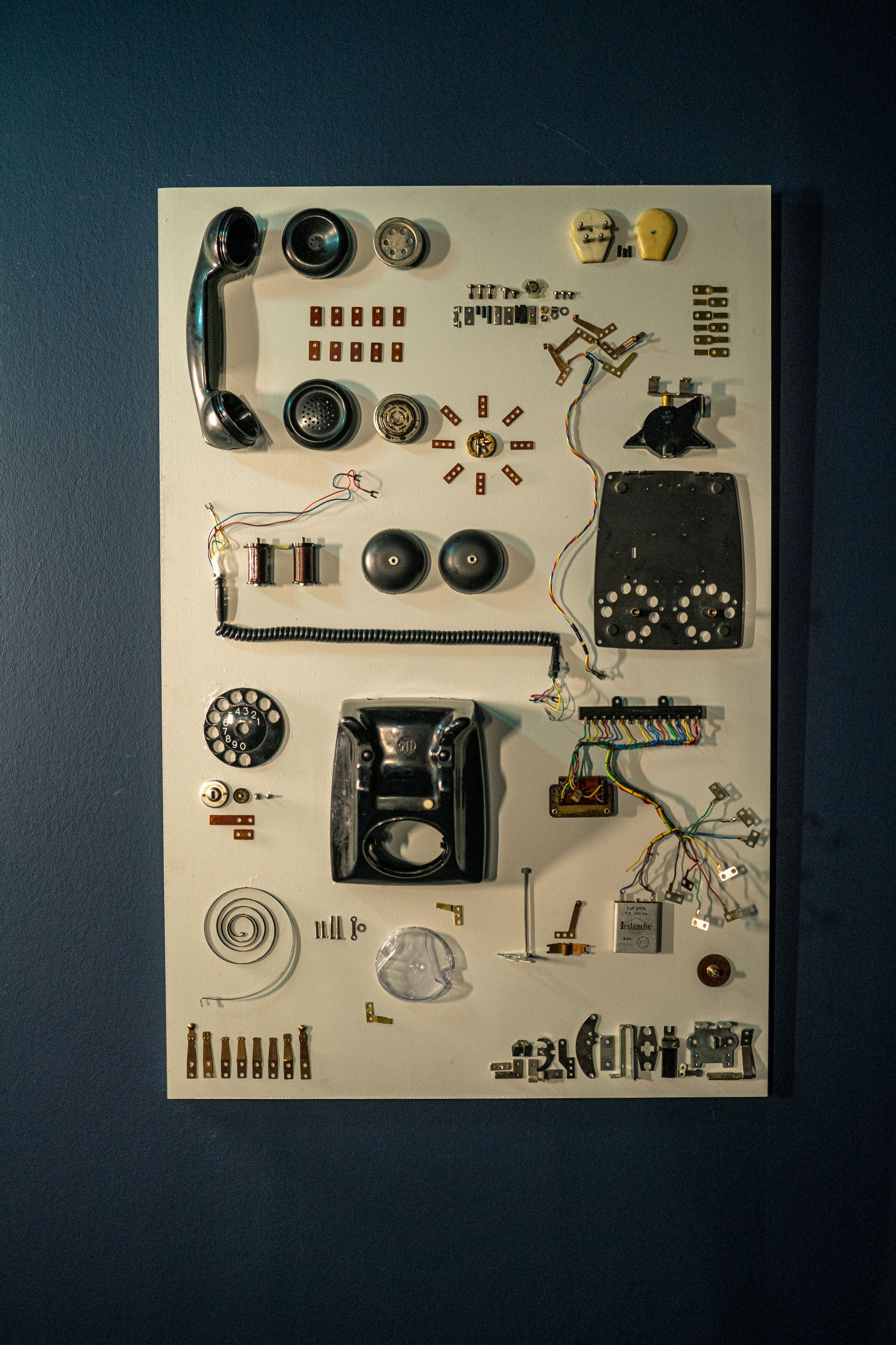 Foto - The Collector
