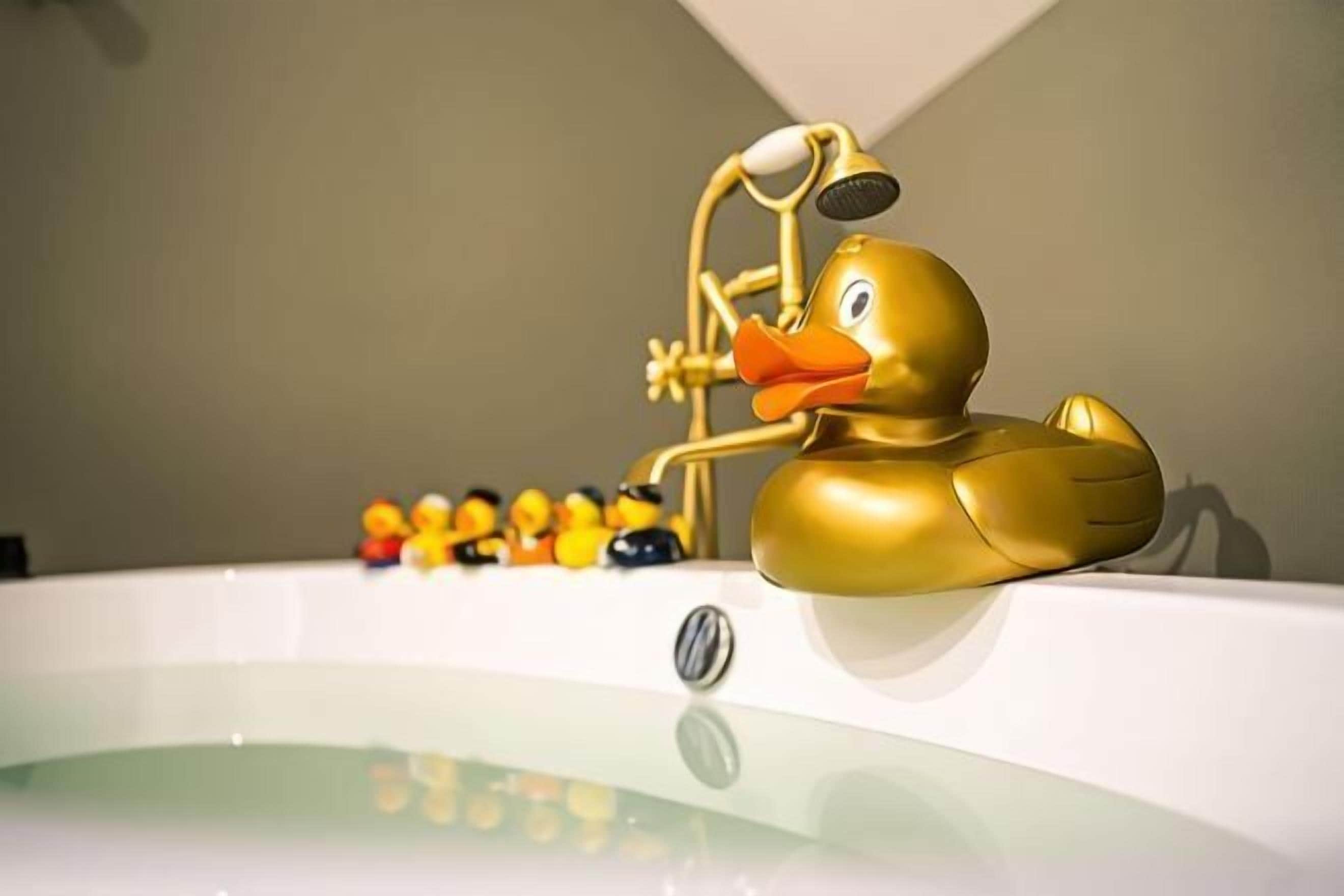 Photo - The Collector