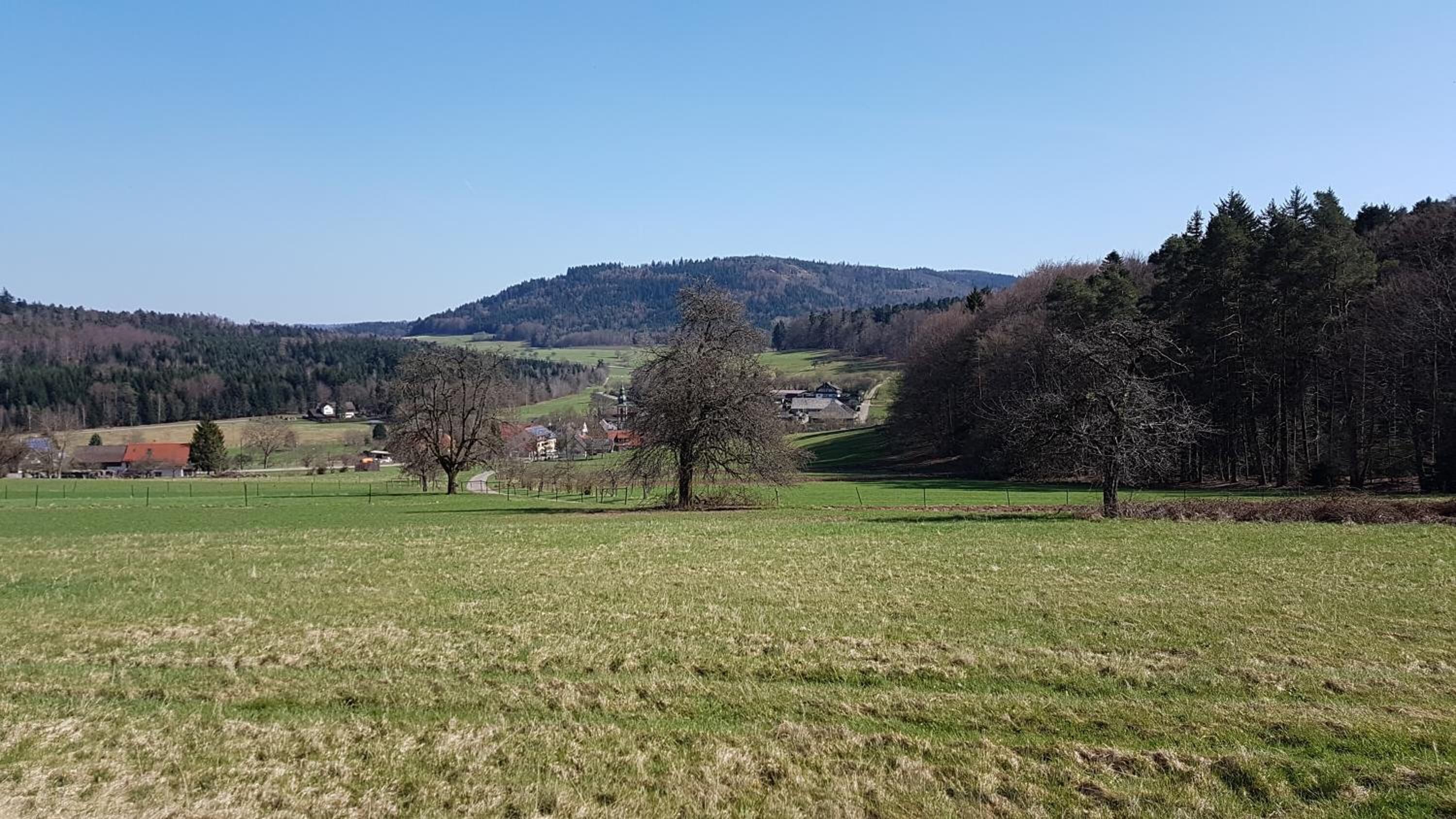 A rural landscape with open fields, a few scattered trees, and distant buildings.