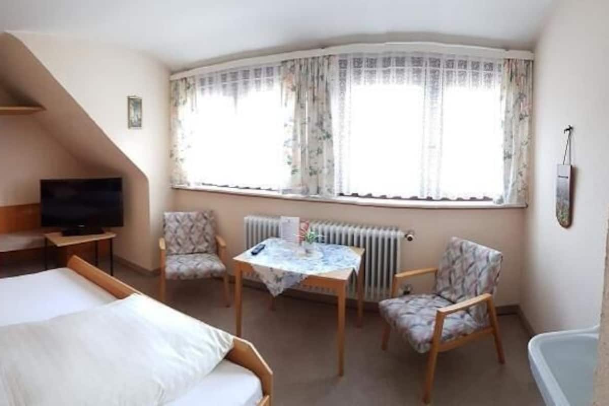 A hotel room with a bed, a TV, a desk with a chair, a radiator, and a window with curtains.