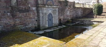 Eventhof Platzhirsch