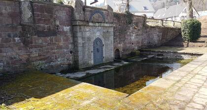 Eventhof Platzhirsch