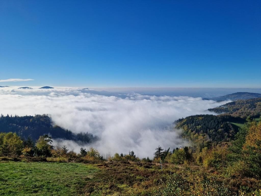 Een panoramisch uitzicht op een bergachtig landschap met een bebost dal en een heldere lucht.