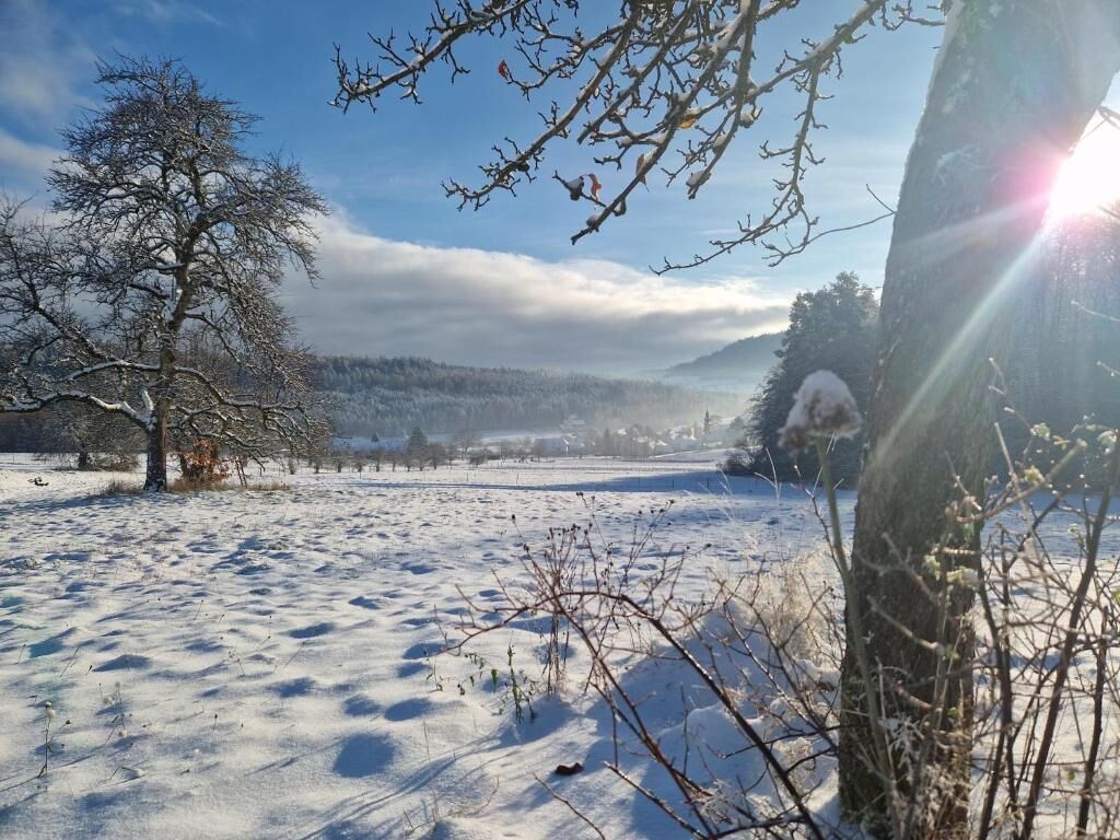 A snowy landscape with a tree and a clear sky.