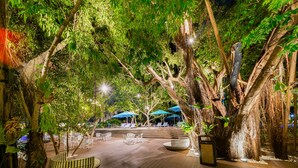 An outdoor seating area with wooden flooring, surrounded by trees and illuminated by ambient lighting. - Tambuli Seaside Resort and Spa (Lapu-Lapu)