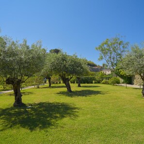 A well-maintained grassy area with mature trees and a stone wall in the background. - Hotel Park Victoria (Forio)