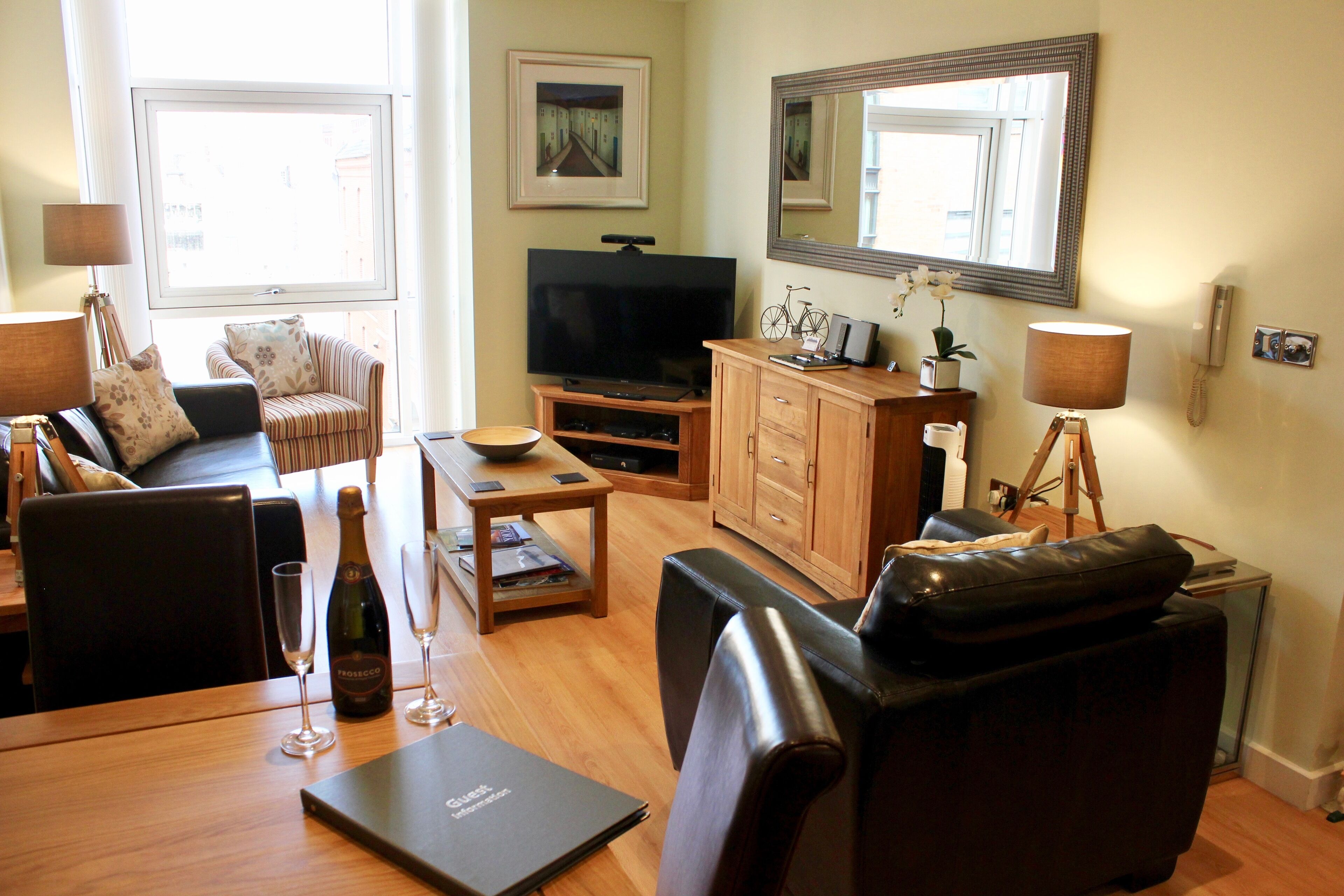 Smart TV, DVD player, books, music library