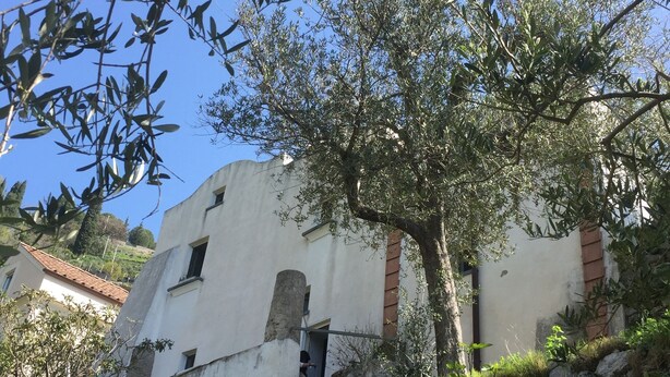 Un edificio con fachada blanca, numerosas ventanas y base de piedra.
