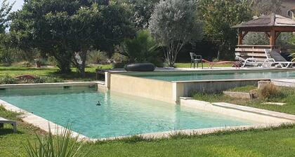 -----Gite haut------