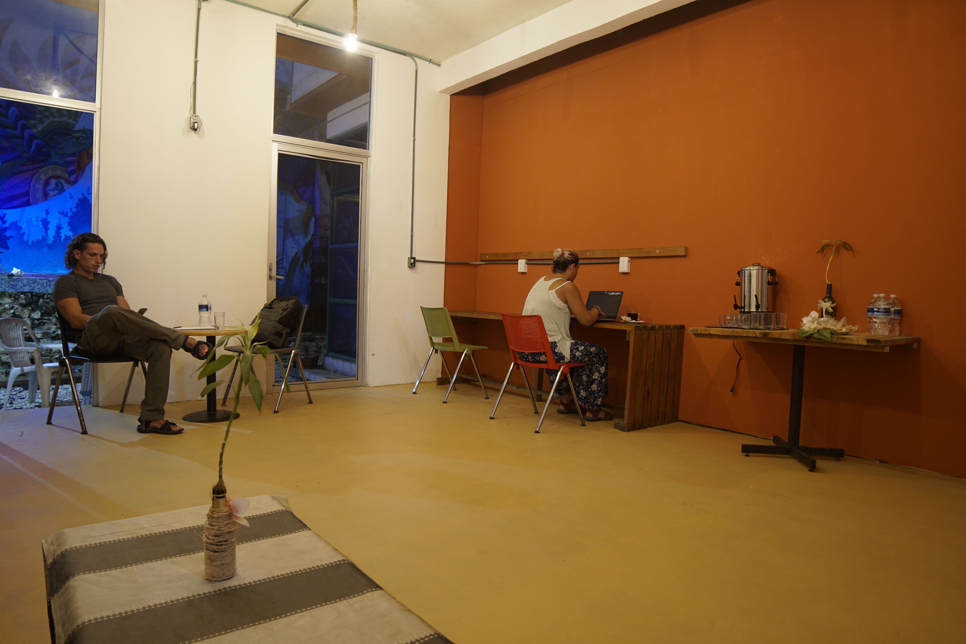 A room with a large window, a plant on a table, and two people seated at a desk.