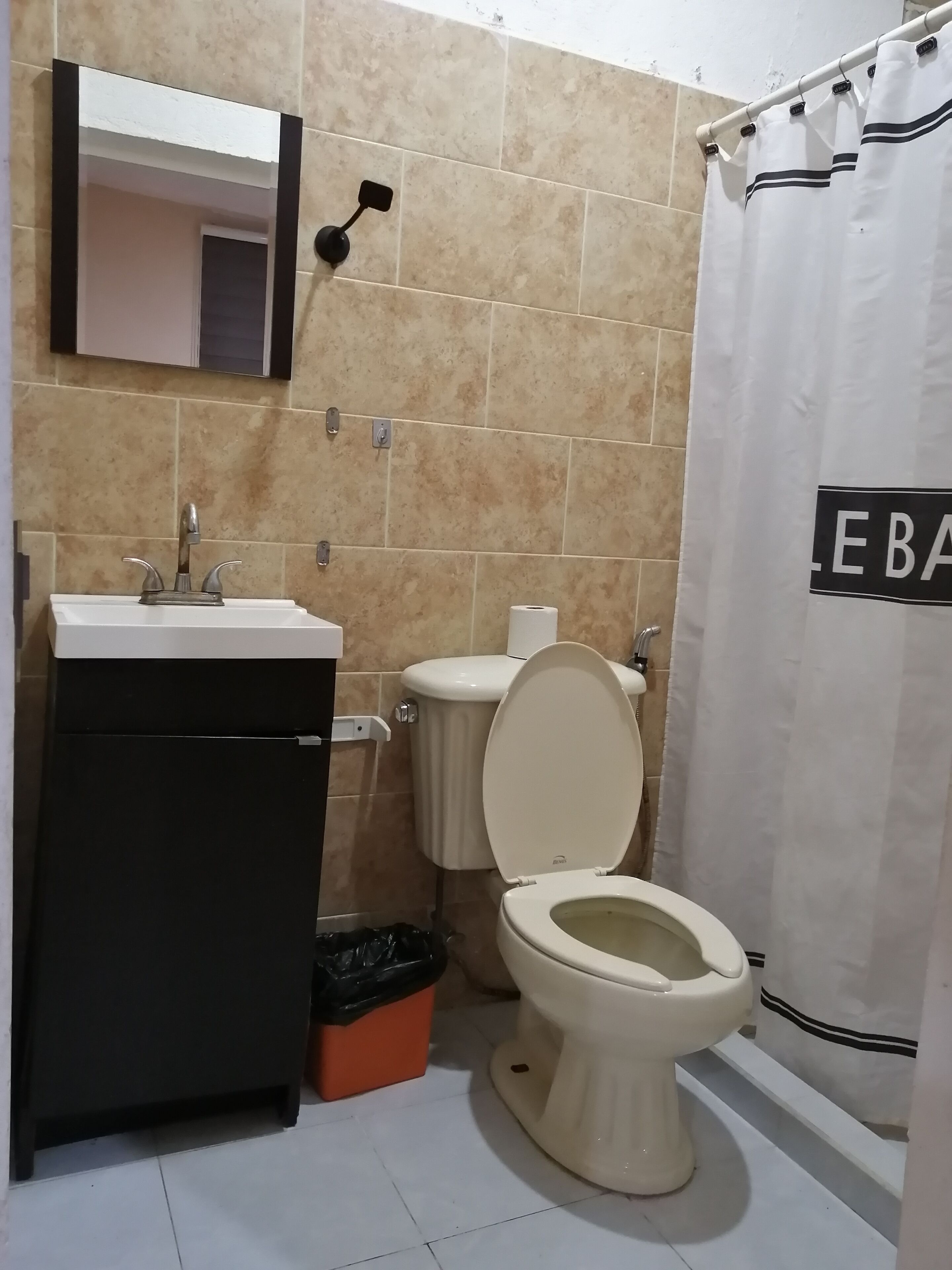 A bathroom with a sink, mirror, toilet, and shower curtain.