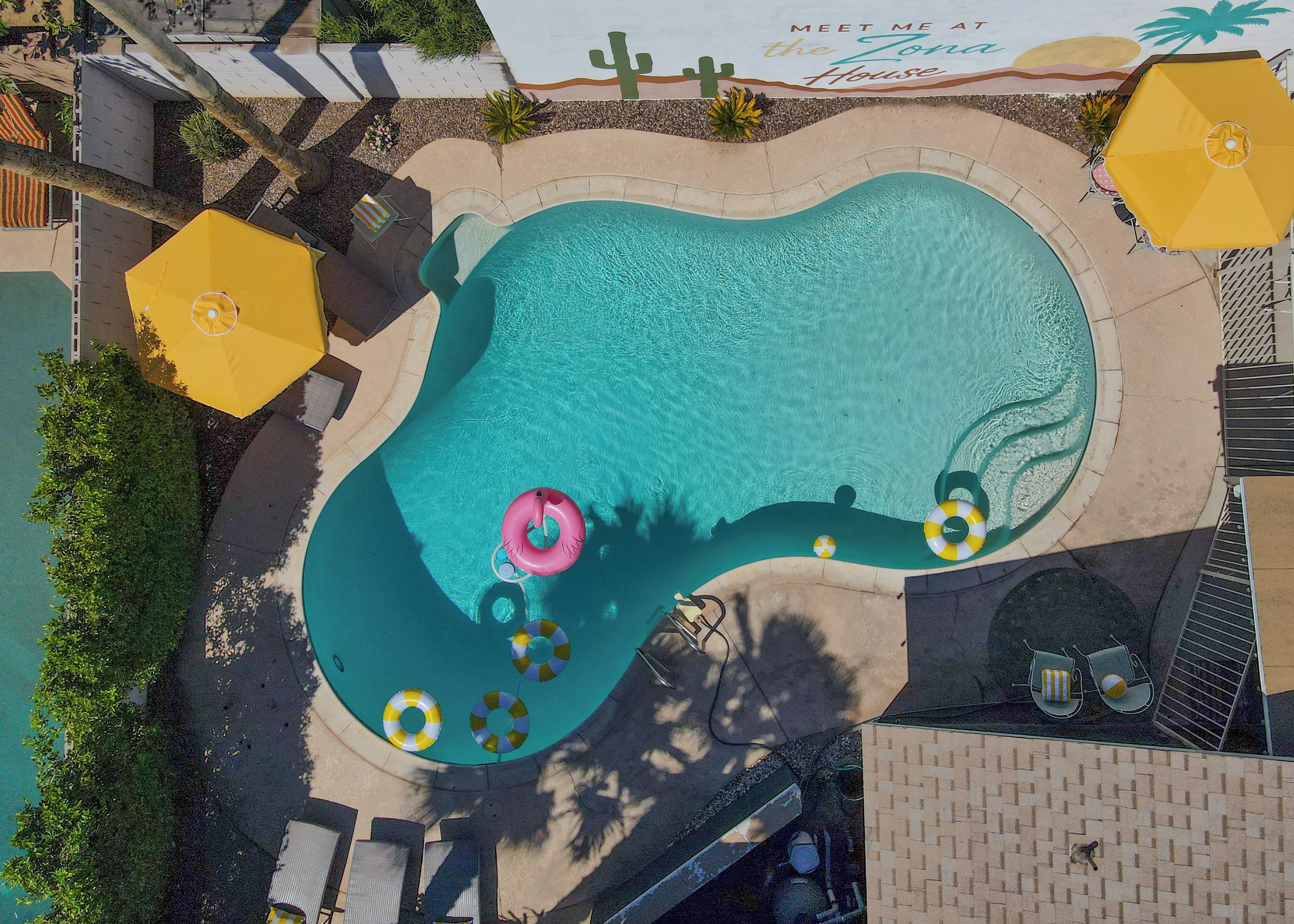 Ein Luftbild eines Schwimmbeckens mit gewölbter Kante, umgeben von Liegestühlen und Sonnenschirmen.