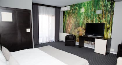 Suite Room for 4 people