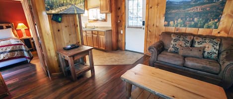 TV, fireplace, DVD player, video library