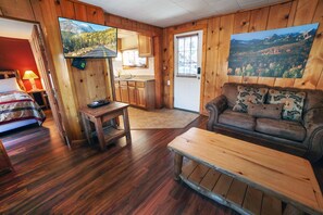 TV, fireplace, DVD player, video library