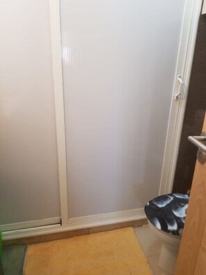 A bathroom with a toilet, a shower enclosure, and a wooden door. - Olablanca2 (Lamharza Essahel)