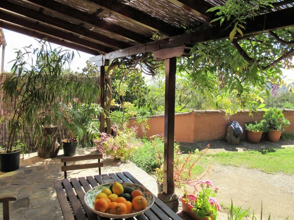 Restauration en plein air