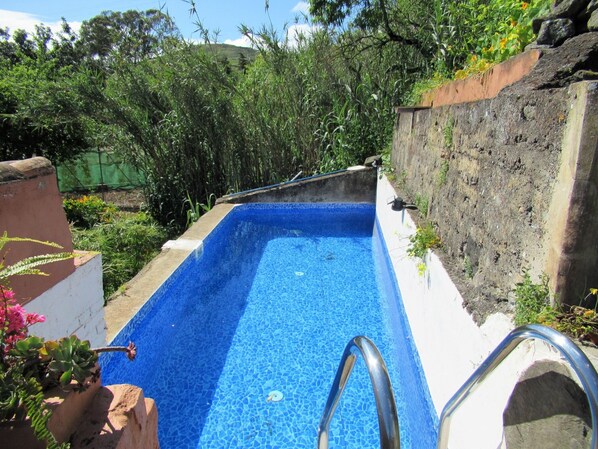Una piscina rectangular con revestimiento de mosaicos azules, rodeada de follaje y un muro de piedra.