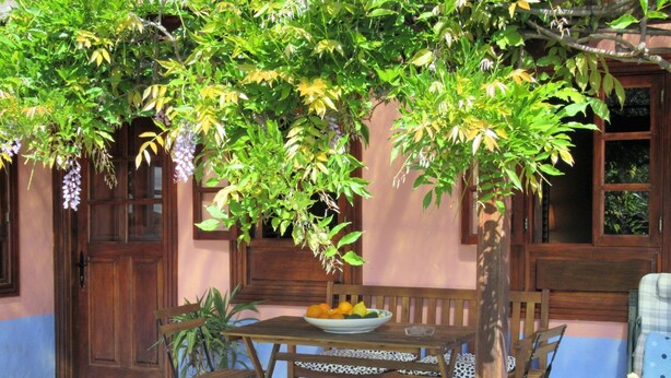 A wooden table with a bowl of fruit, a bench, and a potted plant in a sunny outdoor setting. - Vivelorural: Alpendre de Ayala, piscina y jardín (Santa Brígida)