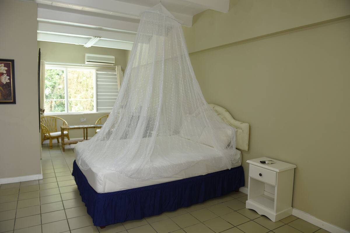 Economy Studio Suite | In-room safe, laptop workspace, blackout drapes, iron/ironing board