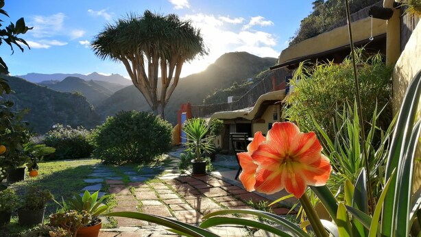 Un jardí amb diverses plantes en testos, un arbre destacat i un camí que condueix a un edifici amb un disseny arquitectònic singular.
