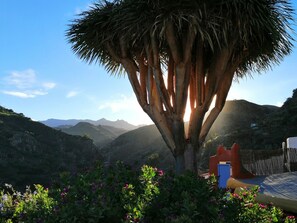 Terrain de lâhĂ©bergement