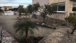 Une maison avec une façade en pierre, une allée pavée et un petit jardin agrémenté d’un palmier.