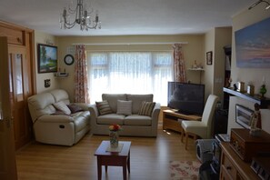 TV, fireplace - 20 Birch Hill Cottage (Aghadoe)