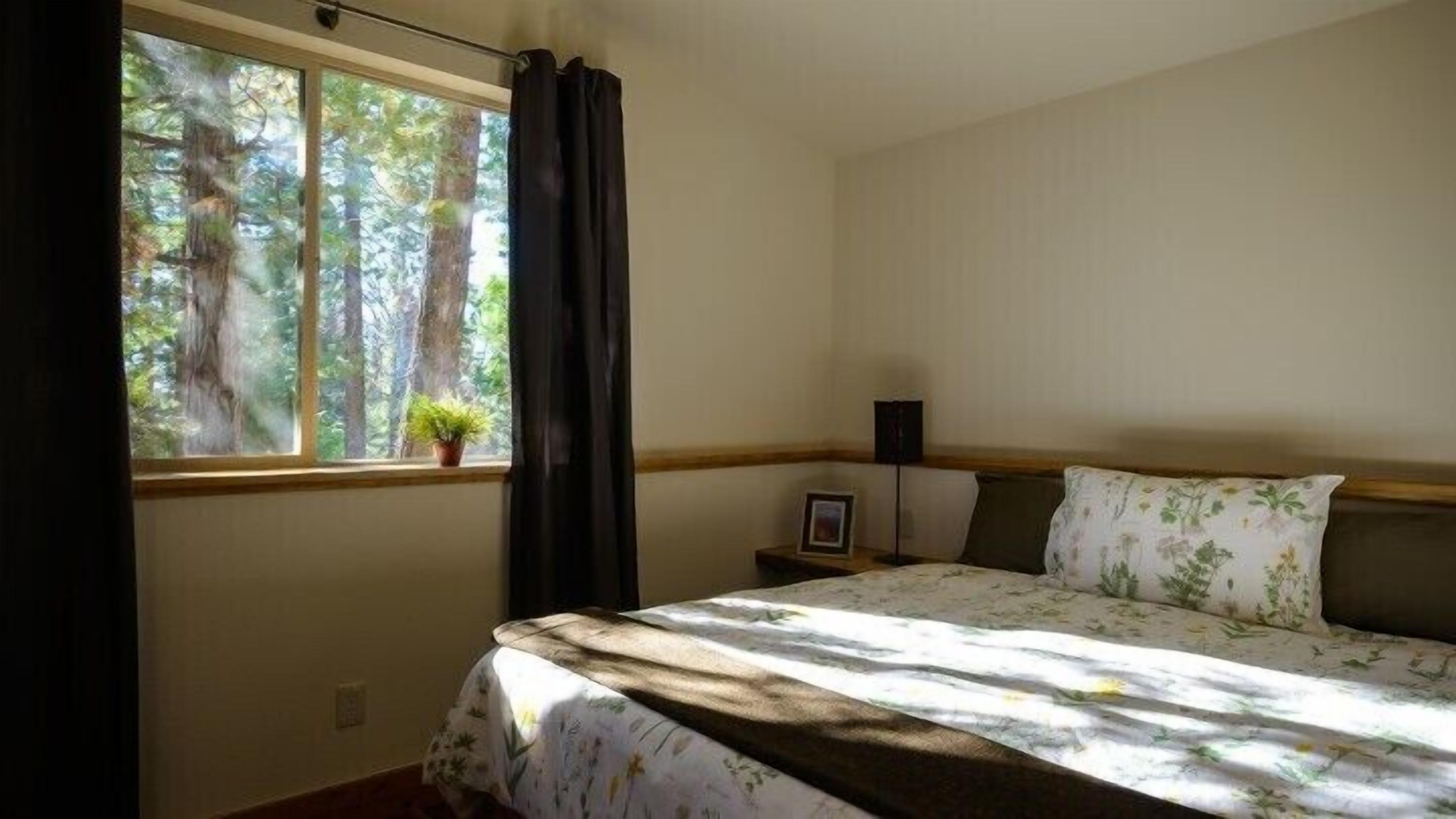 A bedroom with a bed, a nightstand, a lamp, a window with curtains, and a potted plant.