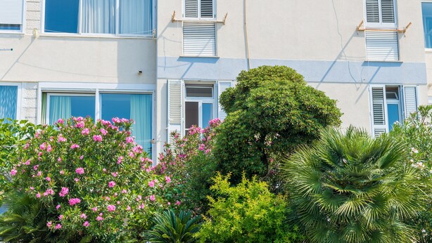 Un edifici de diversos pisos amb parets blanques i persianes blaves, envoltat de vegetació exuberant i plantes amb flors.