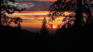 A sunset view through tree branches.