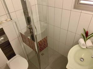 Douche, séchoir à cheveux, serviettes fournies, savon