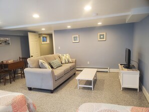 Smart TV, fireplace, DVD player, books