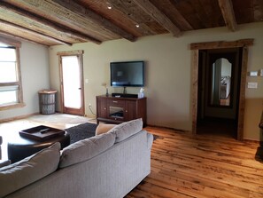 Smart TV, fireplace, DVD player, books