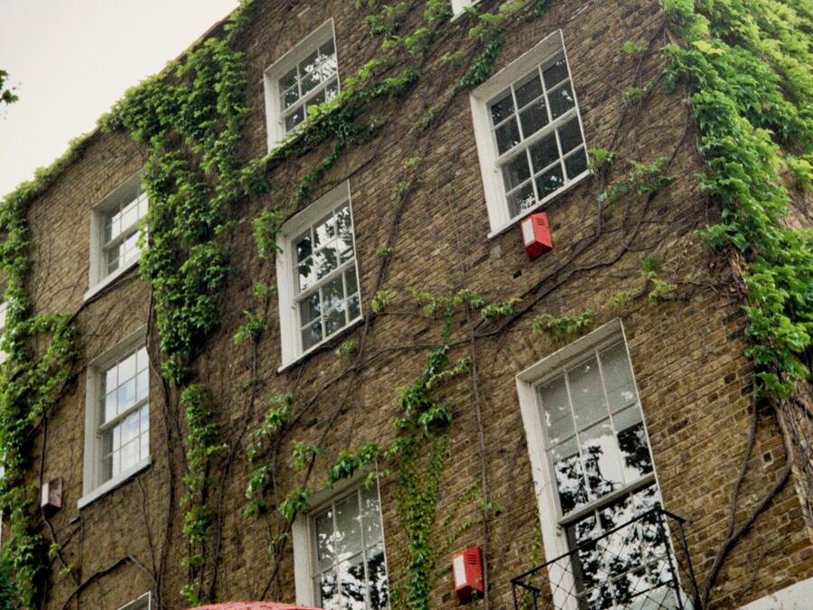 Una cabina telefónica roja frente a un edificio con muros de ladrillo cubiertos de hiedra y múltiples ventanas.