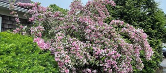 Maison duplex calme près de la plage, à distance de marche du village de Falmouth