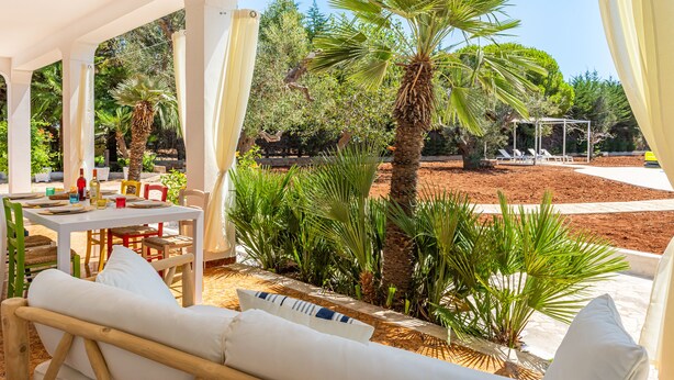 Un espace extérieur aménagé, abrité et doté de tables et de chaises, entouré d’une végétation luxuriante et de palmiers.