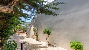 Une cour pavée de pierres, avec un grand arbre, un mur et un petit arbuste.