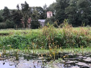 Property grounds - Riverside retreat over looking the stunning Waveney Valley - fishing & kayaking (Hoxne)