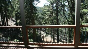 Cabin (Falcon's Nest) | Balcony view