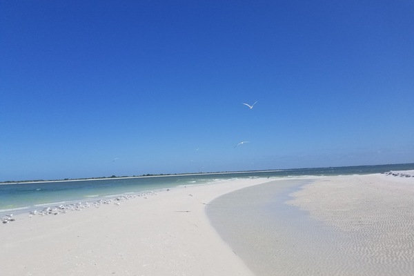 Tumbonas y toallas de playa