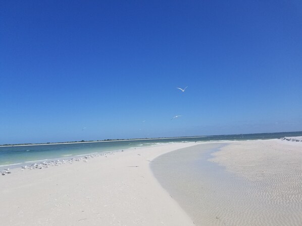Sun-loungers, beach towels