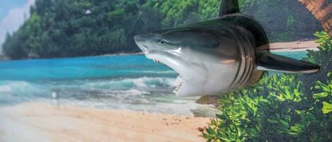 Playa en los alrededores y toallas de playa